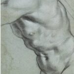 dessin de torse de l'exposition Carrache
